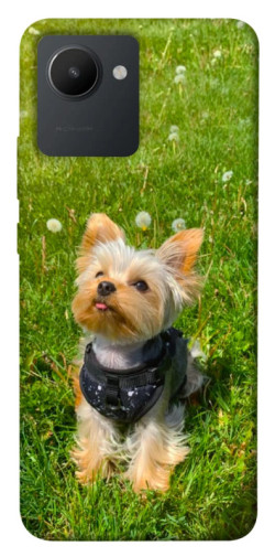 Чехол itsPrint Йорк в траве для Realme C30