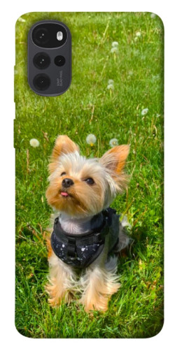 Чехол itsPrint Йорк в траве для Motorola Moto G22