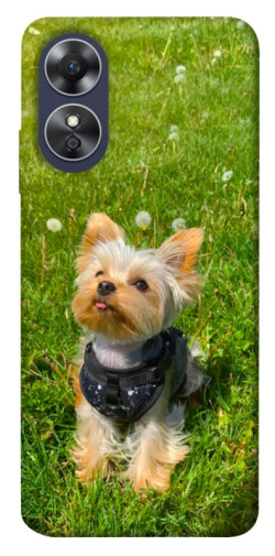 Чехол itsPrint Йорк в траве для Oppo A17