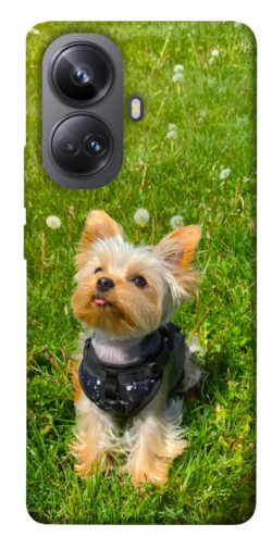 Чехол itsPrint Йорк в траве для Realme 10 Pro+