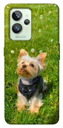 Чехол itsPrint Йорк в траве для Realme GT2