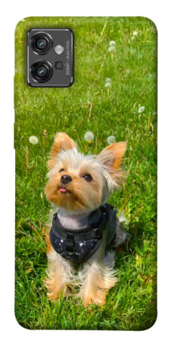 Чехол itsPrint Йорк в траве для Motorola Moto G32