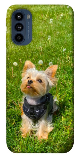 Чехол itsPrint Йорк в траве для Motorola Moto G41