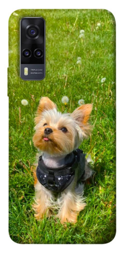 Чехол itsPrint Йорк в траве для Vivo Y31