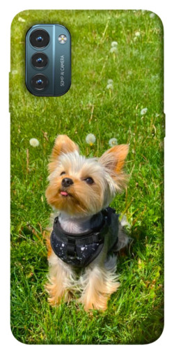 Чехол itsPrint Йорк в траве для Nokia G21