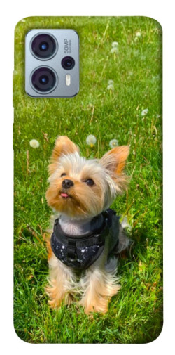 Чехол itsPrint Йорк в траве для Motorola Moto G23