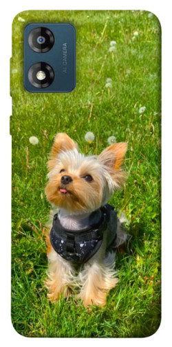 Чехол itsPrint Йорк в траве для Motorola Moto E13