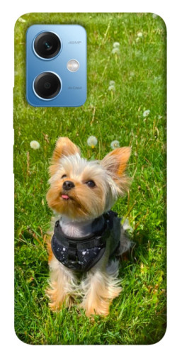 Чехол itsPrint Йорк в траве для Xiaomi Poco X5 5G