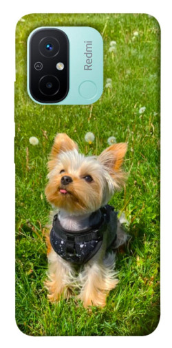 Чехол itsPrint Йорк в траве для Xiaomi Redmi 12C