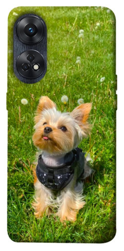 Чехол itsPrint Йорк в траве для Oppo Reno 8 T 4G