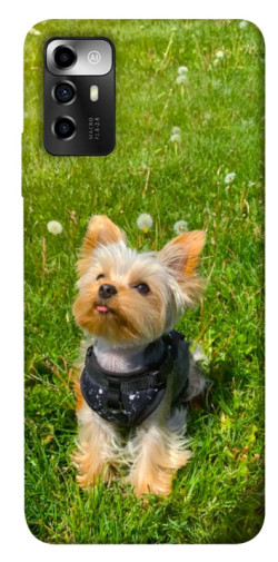 Чехол itsPrint Йорк в траве для ZTE Blade A72