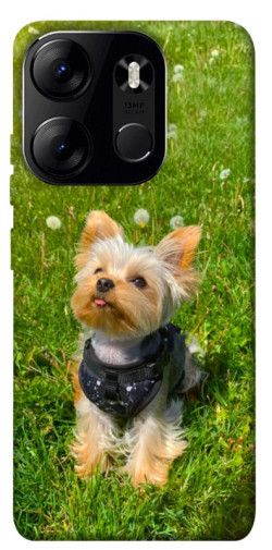 Чехол itsPrint Йорк в траве для Tecno Spark Go 2023