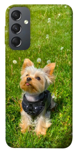 Чехол itsPrint Йорк в траве для Samsung Galaxy A24 4G