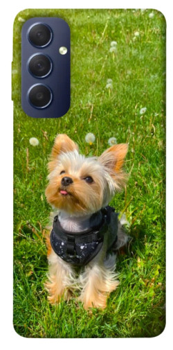 Чехол itsPrint Йорк в траве для Samsung Galaxy M54 5G