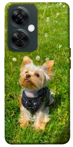 Чехол itsPrint Йорк в траве для OnePlus Nord CE 3 Lite