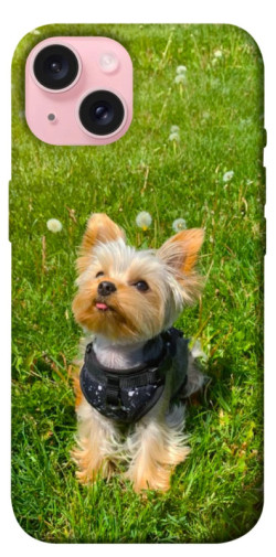 Чехол itsPrint Йорк в траве для Apple iPhone 15 (6.1")