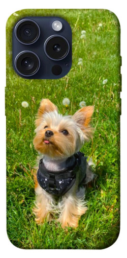 Чехол itsPrint Йорк в траве для Apple iPhone 15 Pro (6.1")