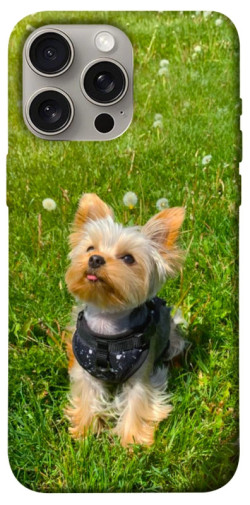 Чехол itsPrint Йорк в траве для Apple iPhone 15 Pro Max (6.7")