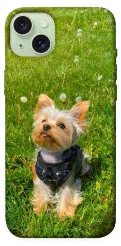 Чехол itsPrint Йорк в траве для Apple iPhone 15 Plus (6.7")