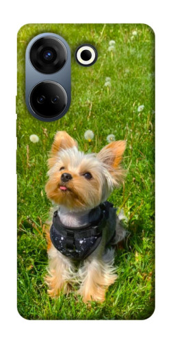 Чехол itsPrint Йорк в траве для TECNO Camon 20 Pro (CK7n)