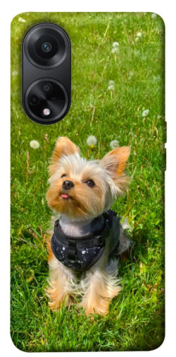 Чехол itsPrint Йорк в траве для Oppo A58 4G