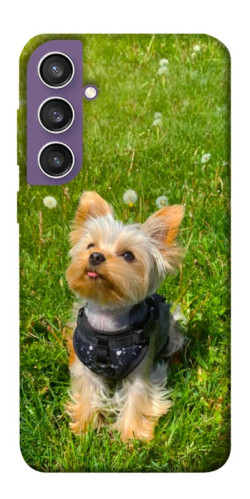 Чехол itsPrint Йорк в траве для Samsung Galaxy S23 FE