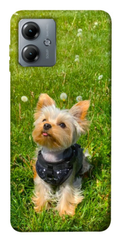 Чехол itsPrint Йорк в траве для Motorola Moto G14