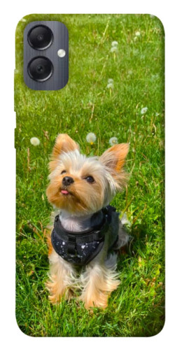 Чехол itsPrint Йорк в траве для Samsung Galaxy A05