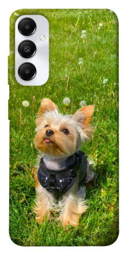 Чехол itsPrint Йорк в траве для Samsung Galaxy A05s