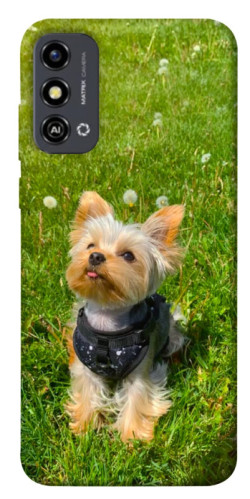 Чехол itsPrint Йорк в траве для ZTE Blade A53