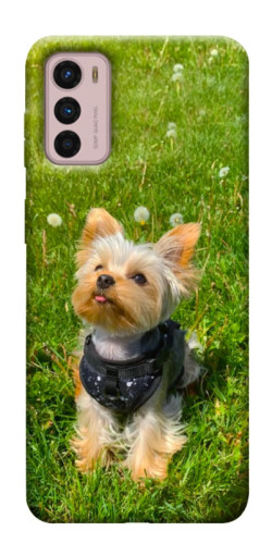 Чехол itsPrint Йорк в траве для Motorola Moto G42