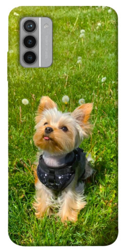 Чехол itsPrint Йорк в траве для Nokia G42