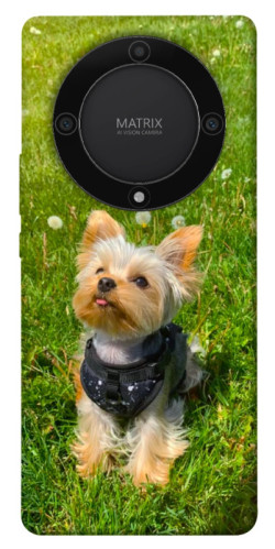 Чехол itsPrint Йорк в траве для Huawei Magic5 Lite