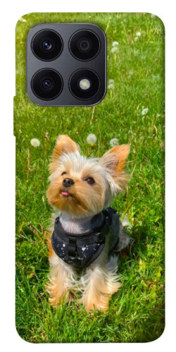 Чехол itsPrint Йорк в траве для Huawei Honor X8a