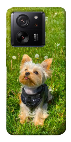 Чехол itsPrint Йорк в траве для Xiaomi 13T