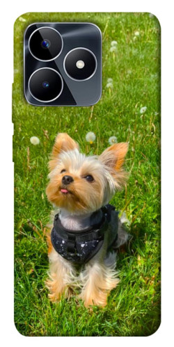 Чехол itsPrint Йорк в траве для Realme C53