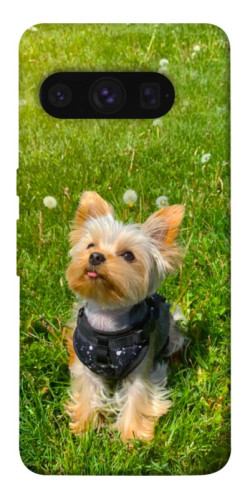 Чехол itsPrint Йорк в траве для Google Pixel 8 Pro