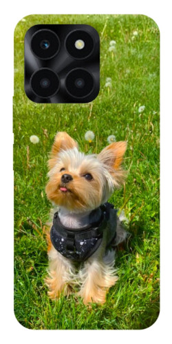 Чехол itsPrint Йорк в траве для Huawei Honor X6a