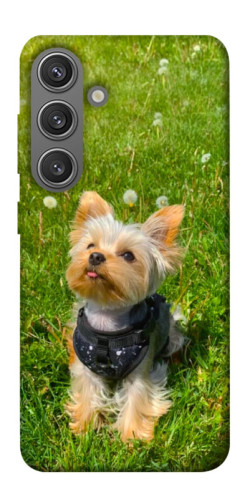 Чехол itsPrint Йорк в траве для Samsung Galaxy S24