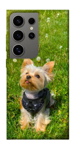 Чехол itsPrint Йорк в траве для Samsung Galaxy S24 Ultra