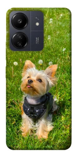 Чехол itsPrint Йорк в траве для Xiaomi Redmi 13C