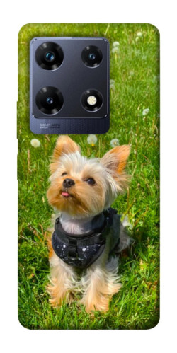 Чехол itsPrint Йорк в траве для Infinix Note 30 Pro