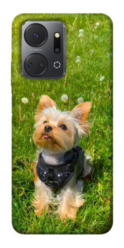 Чехол itsPrint Йорк в траве для Huawei Honor X7a