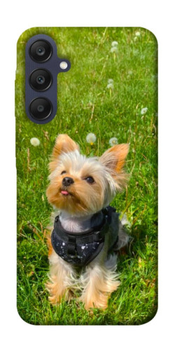 Чехол itsPrint Йорк в траве для Samsung Galaxy A25 5G