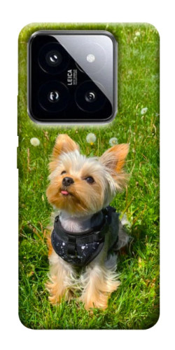 Чехол itsPrint Йорк в траве для Xiaomi 14 Pro