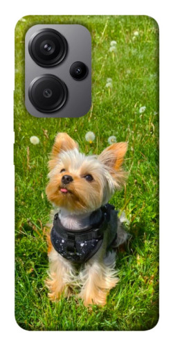 Чехол itsPrint Йорк в траве для Xiaomi Redmi Note 13 Pro+