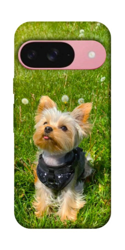 Чехол itsPrint Йорк в траве для Google Pixel 9