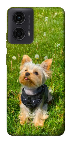 Чехол itsPrint Йорк в траве для Motorola Moto G24