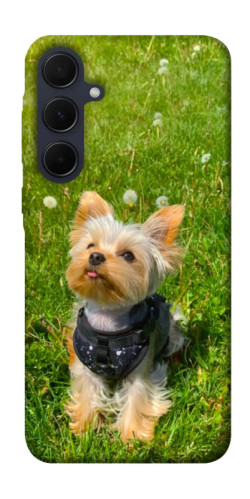 Чехол itsPrint Йорк в траве для Samsung Galaxy A35