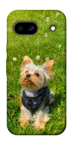 Чехол itsPrint Йорк в траве для Google Pixel 8a